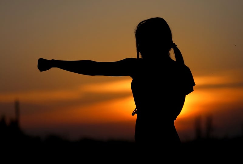 Tai Chi Fan Form